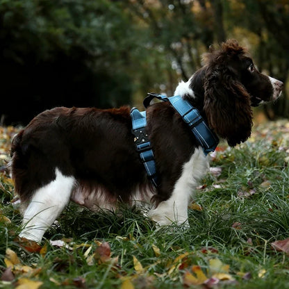 Y-Shaped No-Pull Dog Harness with Leather Handle — Soft Padded, Metal Buckles & Adjustable Fit