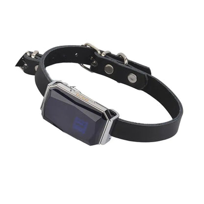 IP67 Multi-Mode GPS Tracker for Pets & Kids — Geofence, SOS & Two-Way Call