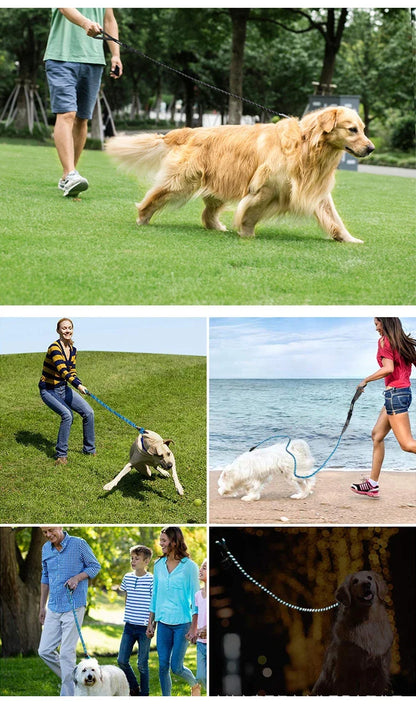 Reflective Dog Leash with Poop Bag Dispenser