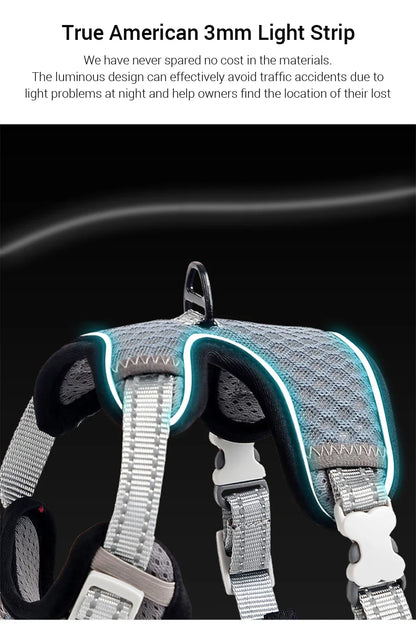Reflective Mesh Harness Vest for Cats & Small Dogs