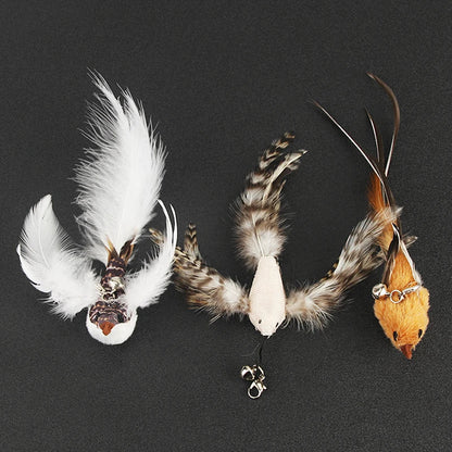 Feather Bird Cat Teaser Toy Set (2 Pack)