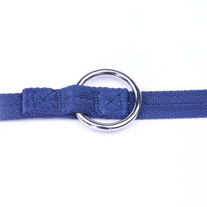 Dual Pet Leash 190cm - V-Shape Twin Lead for Two Dogs or Cats
