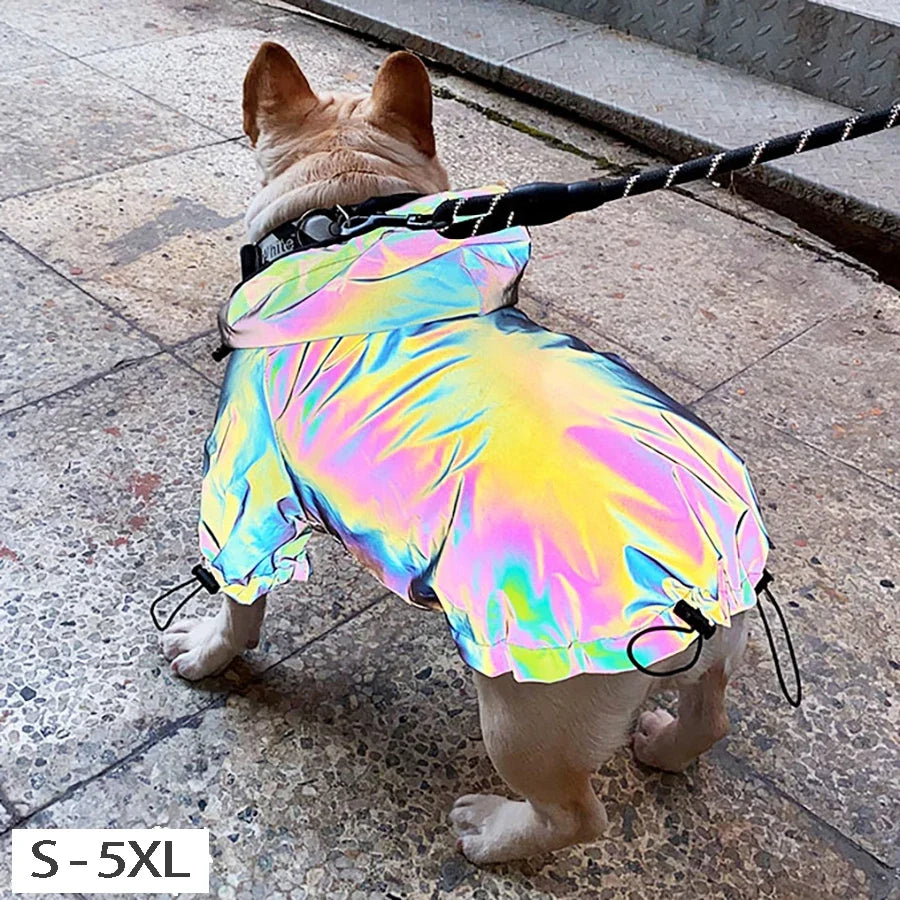 Waterproof Reflective Dog Jacket – Colourful Fashion Coat for All Sizes