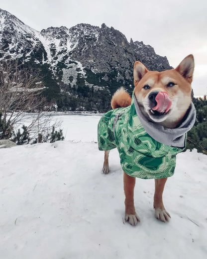 Waterproof Winter Dog Jacket – Warm Outfit for Small, Medium & Large Dogs