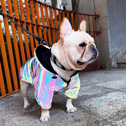 Waterproof Reflective Dog Jacket – Colourful Fashion Coat for All Sizes