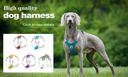 Retractable Nylon Dog Leash 3m & 5m for Small & Medium Dogs