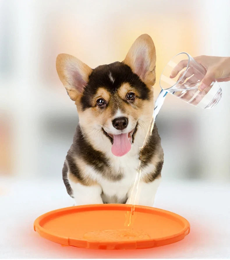 Interactive Flying Disc Ring Toy for Dogs