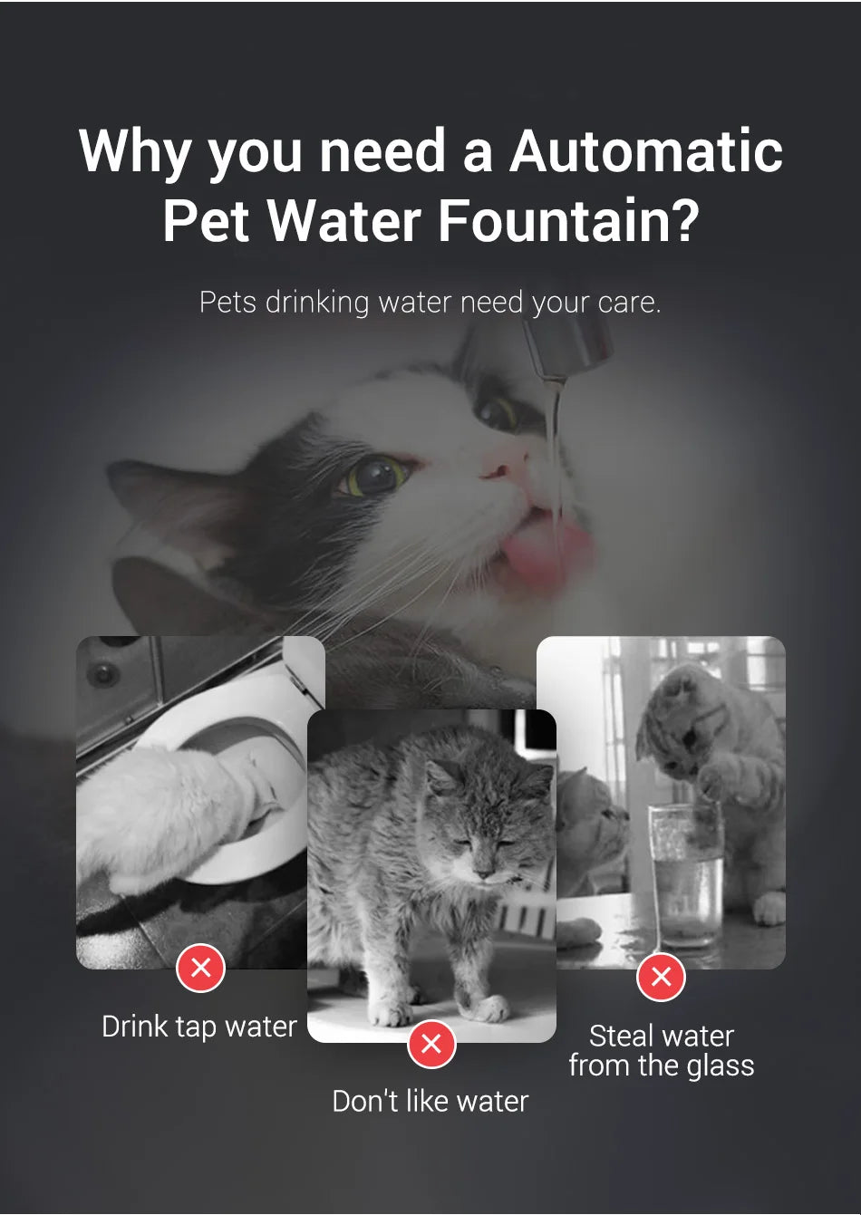 Automatic Cat Water Fountain - Smart Sensor Pet Drinking Dispenser with Accessories