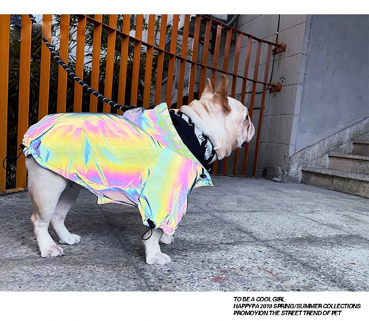 Waterproof Reflective Dog Jacket – Colourful Fashion Coat for All Sizes