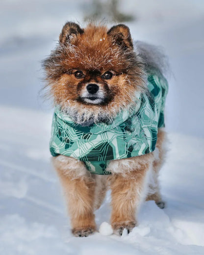 Waterproof Winter Dog Jacket – Warm Outfit for Small, Medium & Large Dogs
