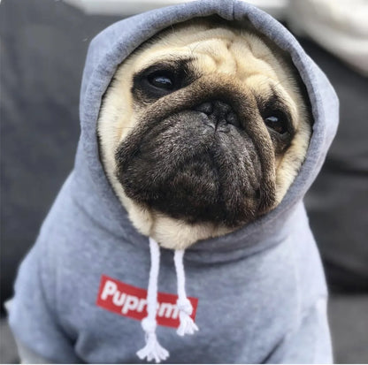 Plush Cotton Hoodie Jacket for Dogs & Cats