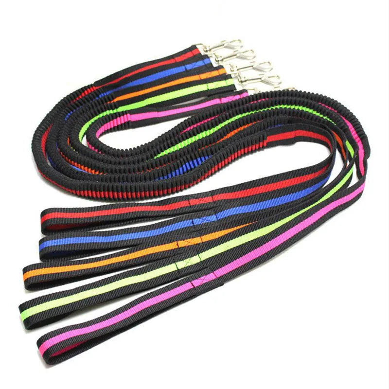 Elastic Anti-Pull Pet Lead (190cm)