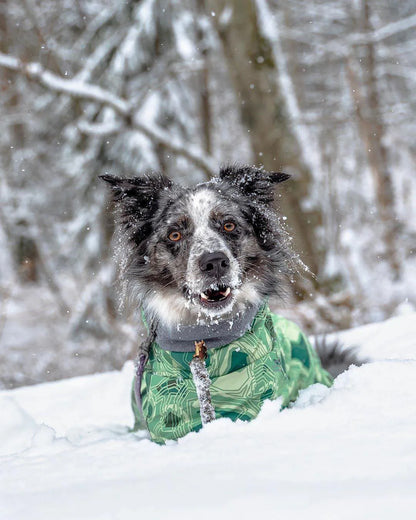 Waterproof Winter Dog Jacket – Warm Outfit for Small, Medium & Large Dogs
