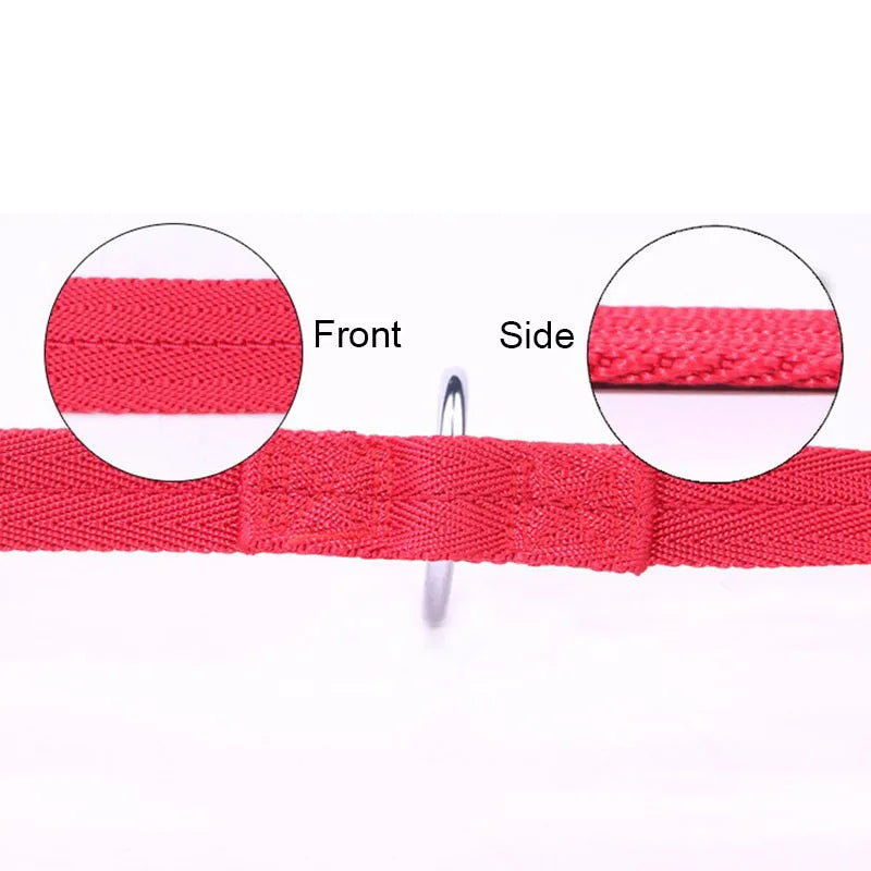 Dual Pet Leash 190cm - V-Shape Twin Lead for Two Dogs or Cats