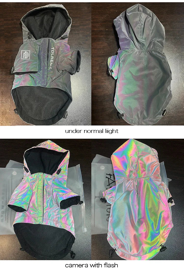 Waterproof Reflective Dog Jacket – Colourful Fashion Coat for All Sizes