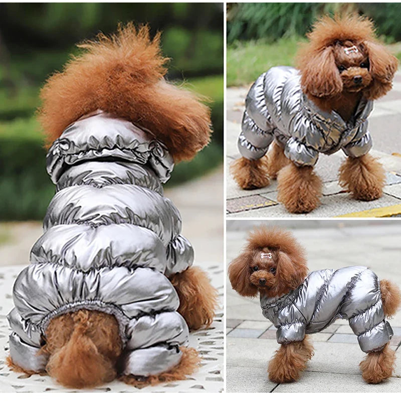 Waterproof Winter Down Jacket for Small Dogs
