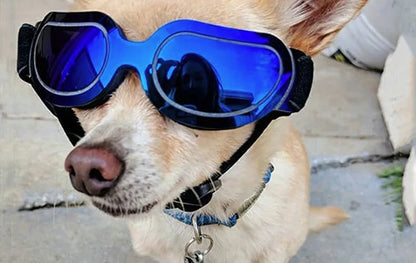 Adjustable Dog Sunglasses & Goggles