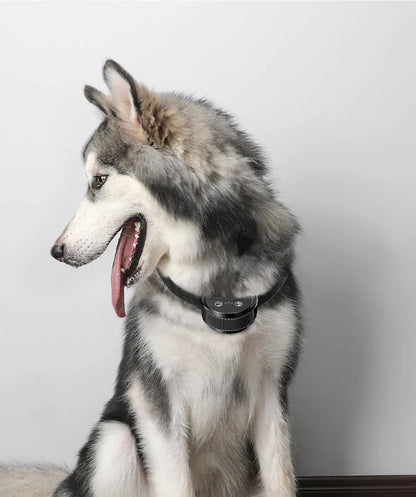 Intelligent Dog Training Collar - Rechargeable Bark Control System