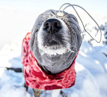 Waterproof Winter Dog Jacket – Warm Outfit for Small, Medium & Large Dogs