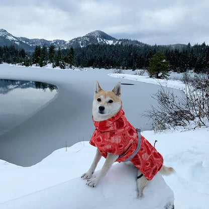 Waterproof Winter Dog Jacket – Warm Outfit for Small, Medium & Large Dogs