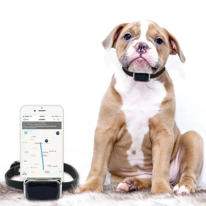 IP67 Multi-Mode GPS Tracker for Pets & Kids — Geofence, SOS & Two-Way Call