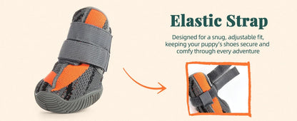 Summer Dog Boots for Hot Pavement Protection
