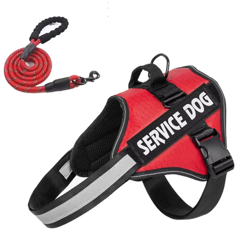 Reflective Adjustable Dog Chest Harness & Walking Lead for Large Dogs