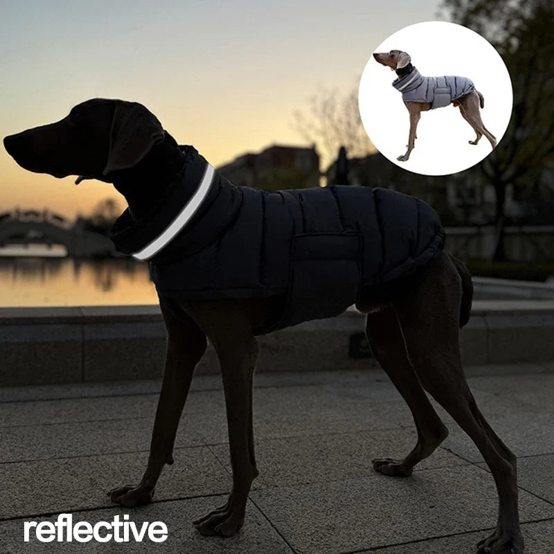 Windproof Winter Down Vest for Small Dogs