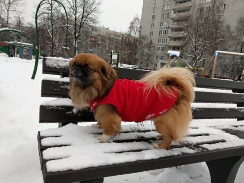 Fleece Vest Jacket for Small Dogs & Cats | Warm Winter Coat for Chihuahuas & French Bulldogs