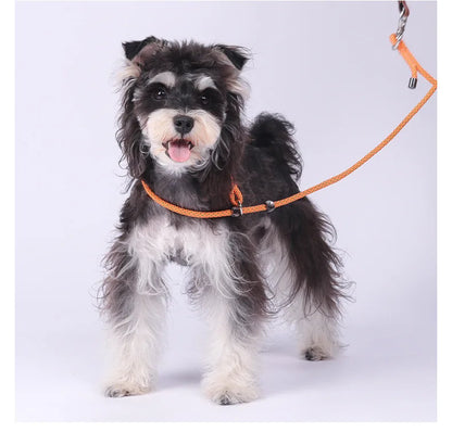Anti-Tangle Adjustable P-Chain Slip Lead for Small Dogs