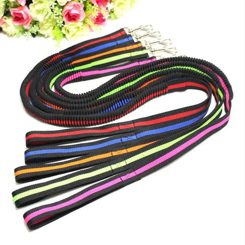 Elastic Anti-Pull Pet Lead (190cm)