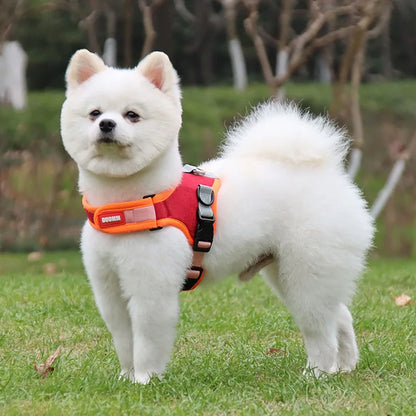 Reflective Dog Harness & Leash Set - Nylon Vest Harness for All Sizes