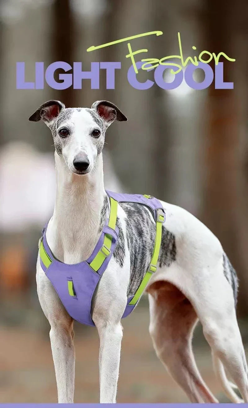 Lightweight No-Pull Reflective Dog & Cat Harness Vest