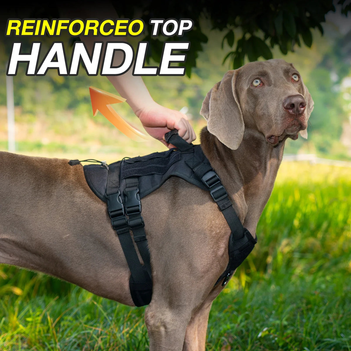 Tactical Chest Strap Dog Harness with Reinforcement Loop