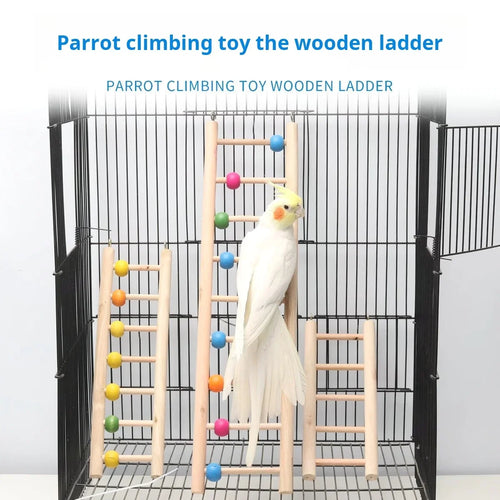Solid Wood Cloud Climbing Ladder for Parrots & Birds