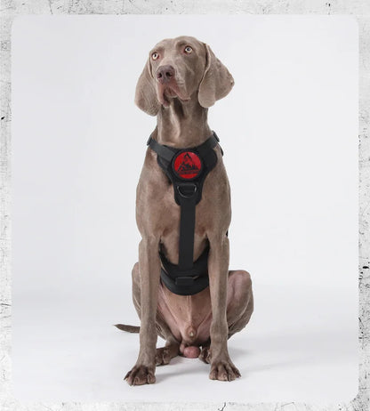 Tactical Military Vest Dog Harness for Large Dogs