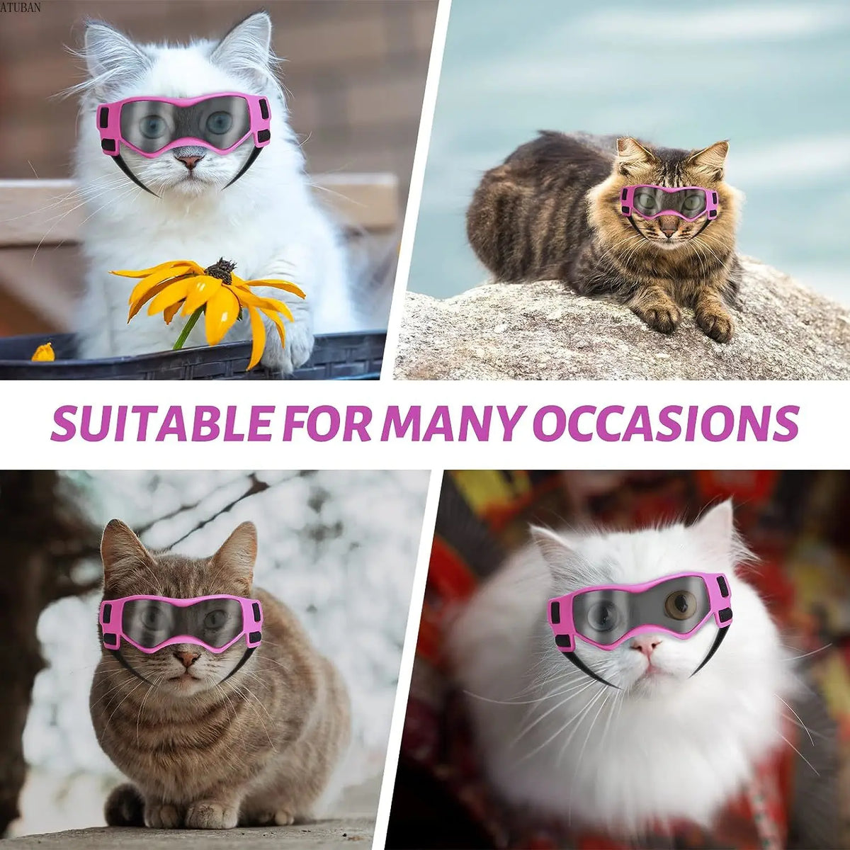 Cat Sunglasses - UV Protection Goggles for Small Pets