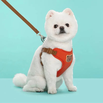 Breathable Vest Harness & Lead Set for Small Dogs & Cats
