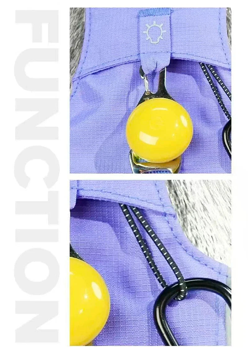 Lightweight No-Pull Reflective Dog & Cat Harness Vest