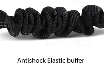 Reflective Dog Car Seat Belt and Walking Leash for Small Dogs