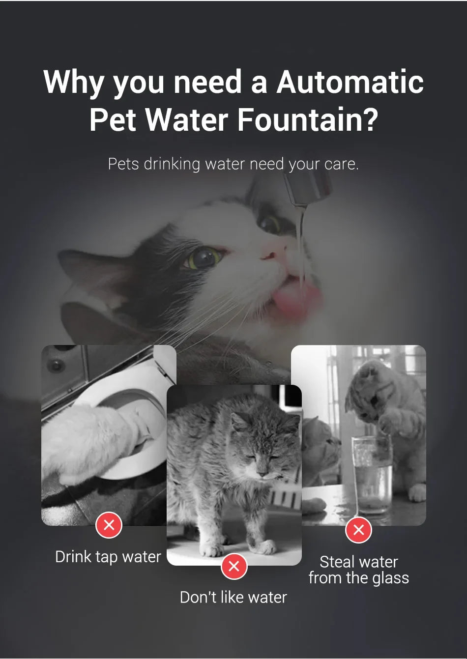 Premium Stainless Steel Cat Water Fountain with Smart Motion Sensor