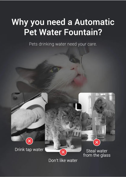 Premium Stainless Steel Cat Water Fountain with Smart Motion Sensor