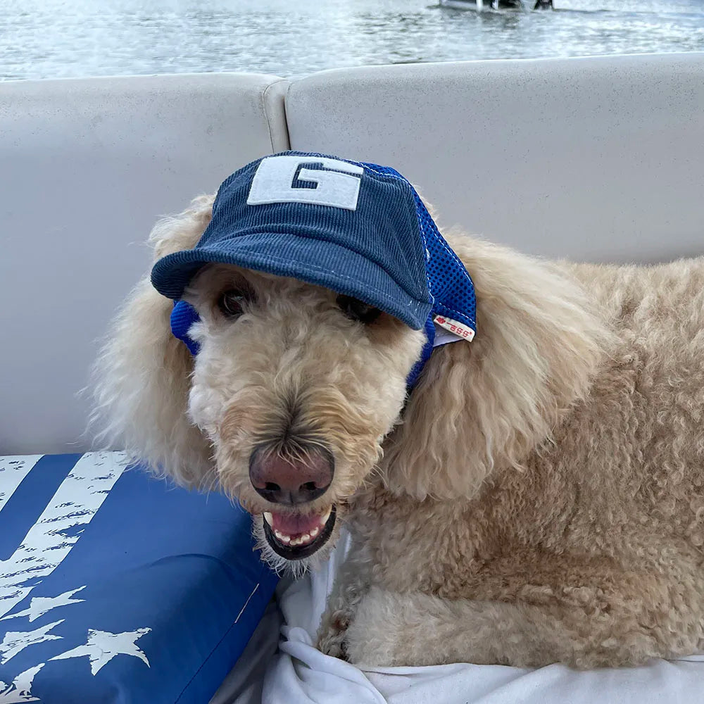 Dog Baseball Cap with Ear Holes - Adjustable Sunscreen Hat for Small and Large Dogs