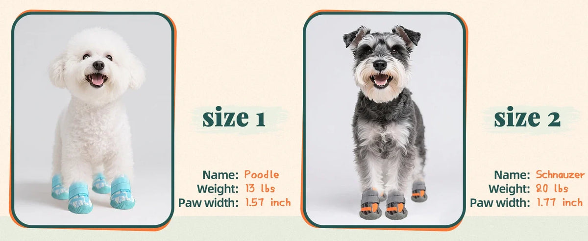 Summer Dog Boots for Hot Pavement Protection