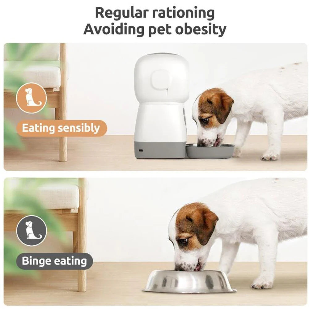 3.5L Smart Automatic Pet Feeder with Voice Recorder — Wi-Fi App or Key Control for Cats & Dogs