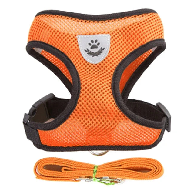 Adjustable Small Dog Harness and Leash Set - Breathable Vest