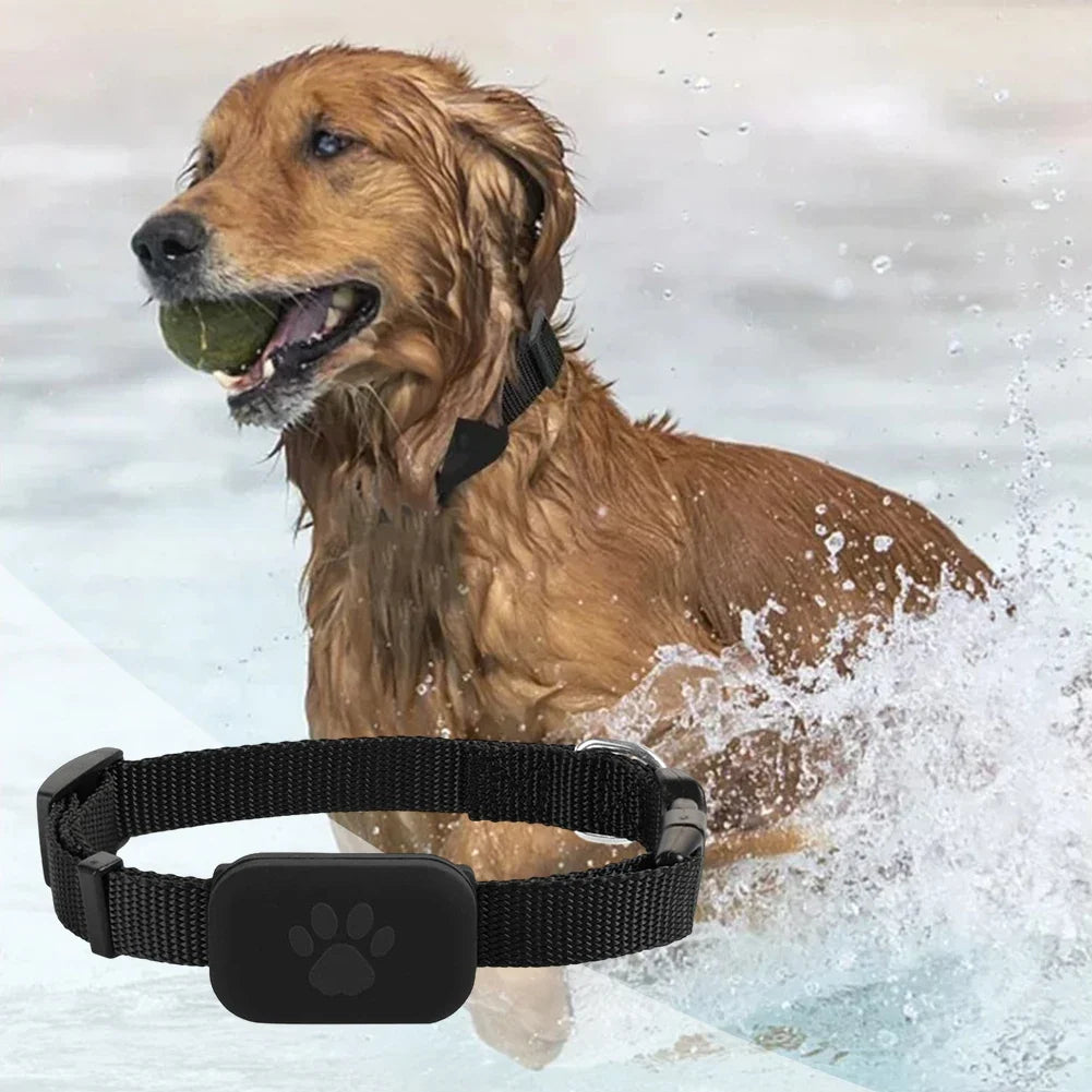 Smart Pet Collar Tracker for Cats & Dogs — 6–12 Month Battery Life
