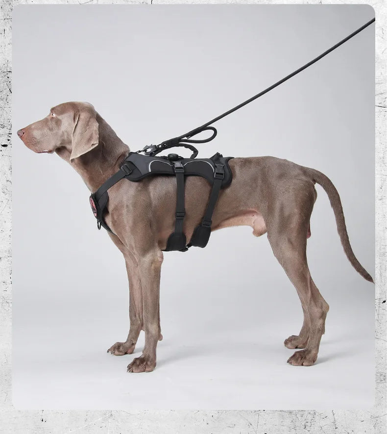 Tactical Military Vest Dog Harness for Large Dogs