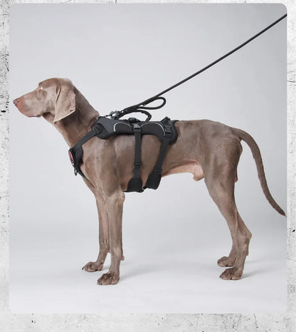 Tactical Military Vest Dog Harness for Large Dogs
