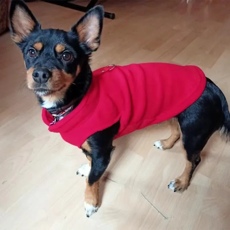 Fleece Vest Jacket for Small Dogs & Cats | Warm Winter Coat for Chihuahuas & French Bulldogs
